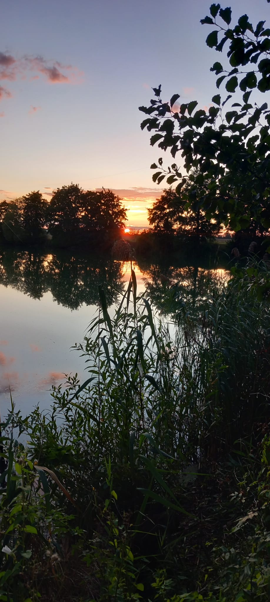 Jugendnachtangeln 2025